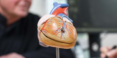 Kardiologische Sprechstunde